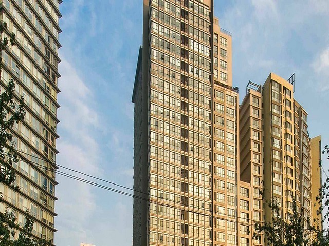 周村步行街附近给狗狗诊疗的地方